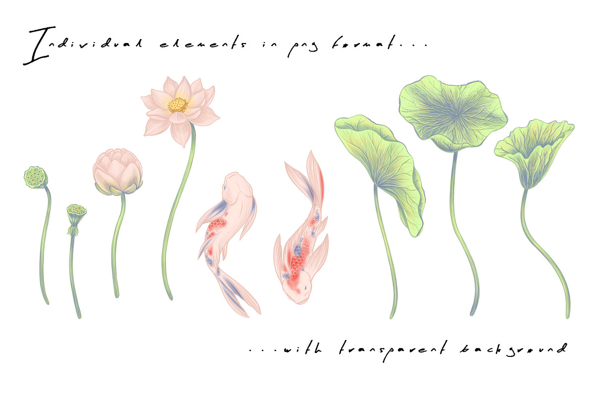 LOTUS- patterns & motifs, a Decorative Illustration by Liiafis (Photo 11 of 17)
