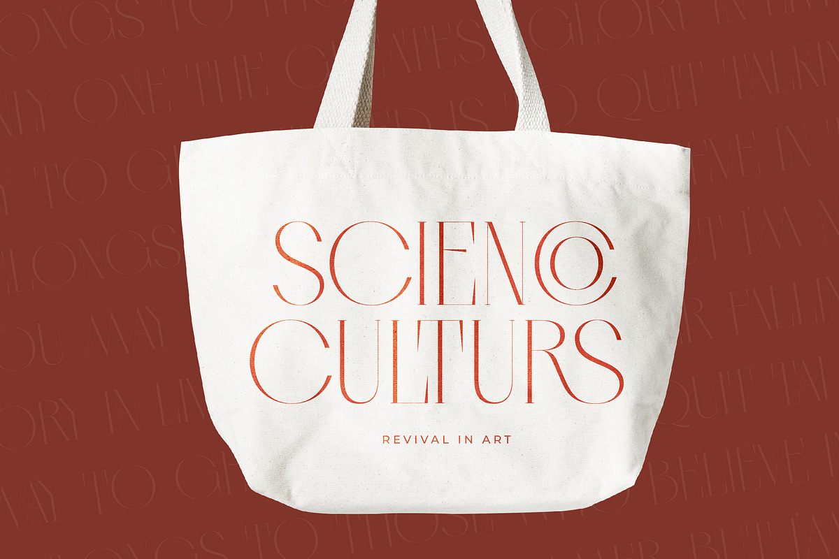 Qasnors Modern Display Serif, a Serif Font by timelesstype.co (Photo 4 of 20)