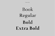 Alloy - A Sharp Serif Typeface, a Serif Font by Cassandra Cappello (Thumbnail 2 of 7)