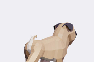 Low Poly Pug Dog