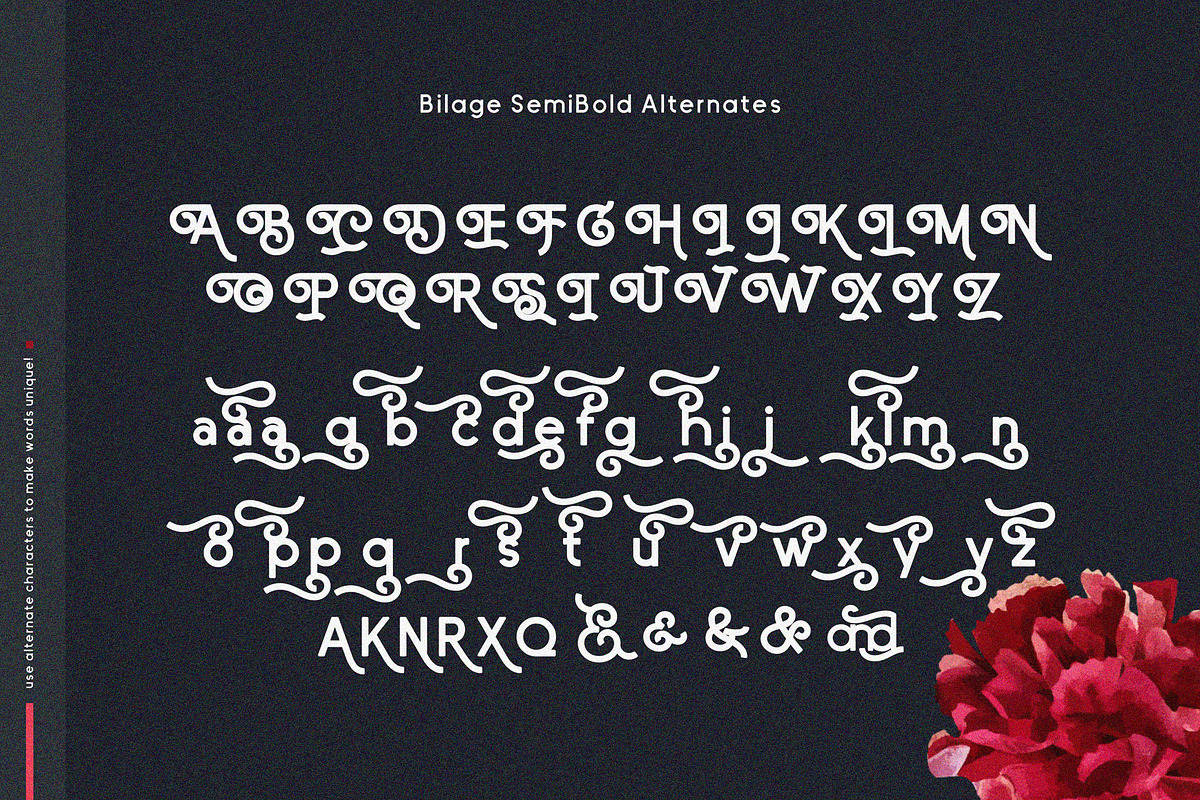 Bilage preview 8