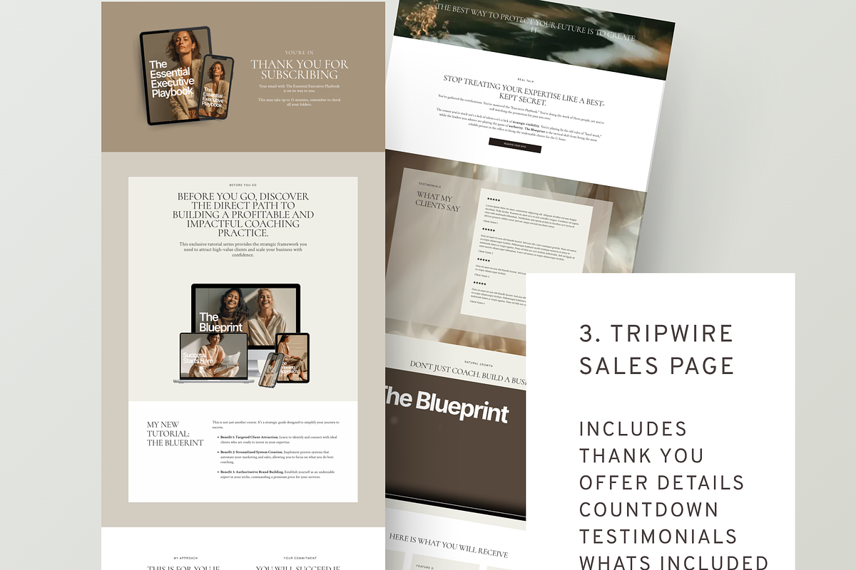Systeme.io 6 Step Sales Funnel, an UI Kit Template by Alter Edit (Photo 5 of 11)