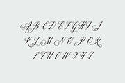 Mandalina Classical Script Font, a Script Font by UICreative (Thumbnail 4 of 13)