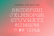 Cannery Row Slab Serif Display Font, a Slab Serif Font by Holt510 (Thumbnail 3 of 11)