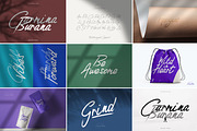 Modern & Elegant Font Bundle, a Script Font by AndrewPixel (Thumbnail 25 of 25)