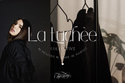 Coastine - Chic Modern Font, a Sans Serif Font by Typetemp Studio (Thumbnail 3 of 26)