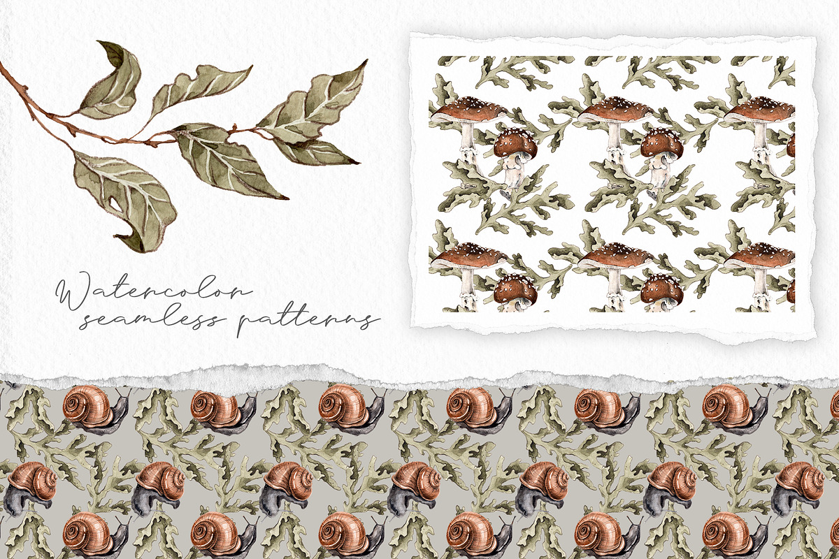 Forest plants and snails watercolor, an Illustration by Alamella (Photo 4 of 7)