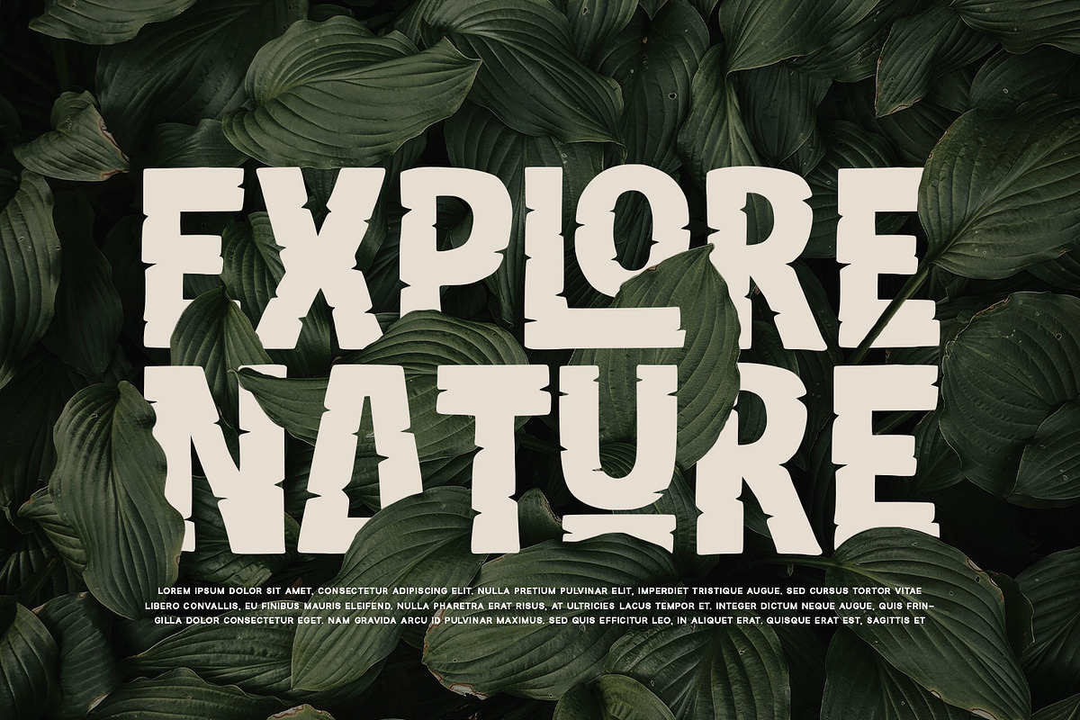 Reliction - Display Font, a Script Font by Alpaprana (Photo 5 of 10)