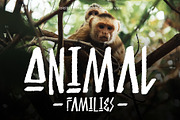 Burowai - Tribal Font, a Font by Arterfak Project (Thumbnail 9 of 13)