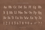 Ledira | Display Serif Font, a Serif Font by Denustudios (Thumbnail 13 of 15)