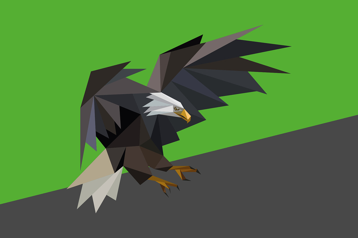 Wild animals in low poly style, an Animal Illustration by Volkan Aydemir (Photo 9 of 12)