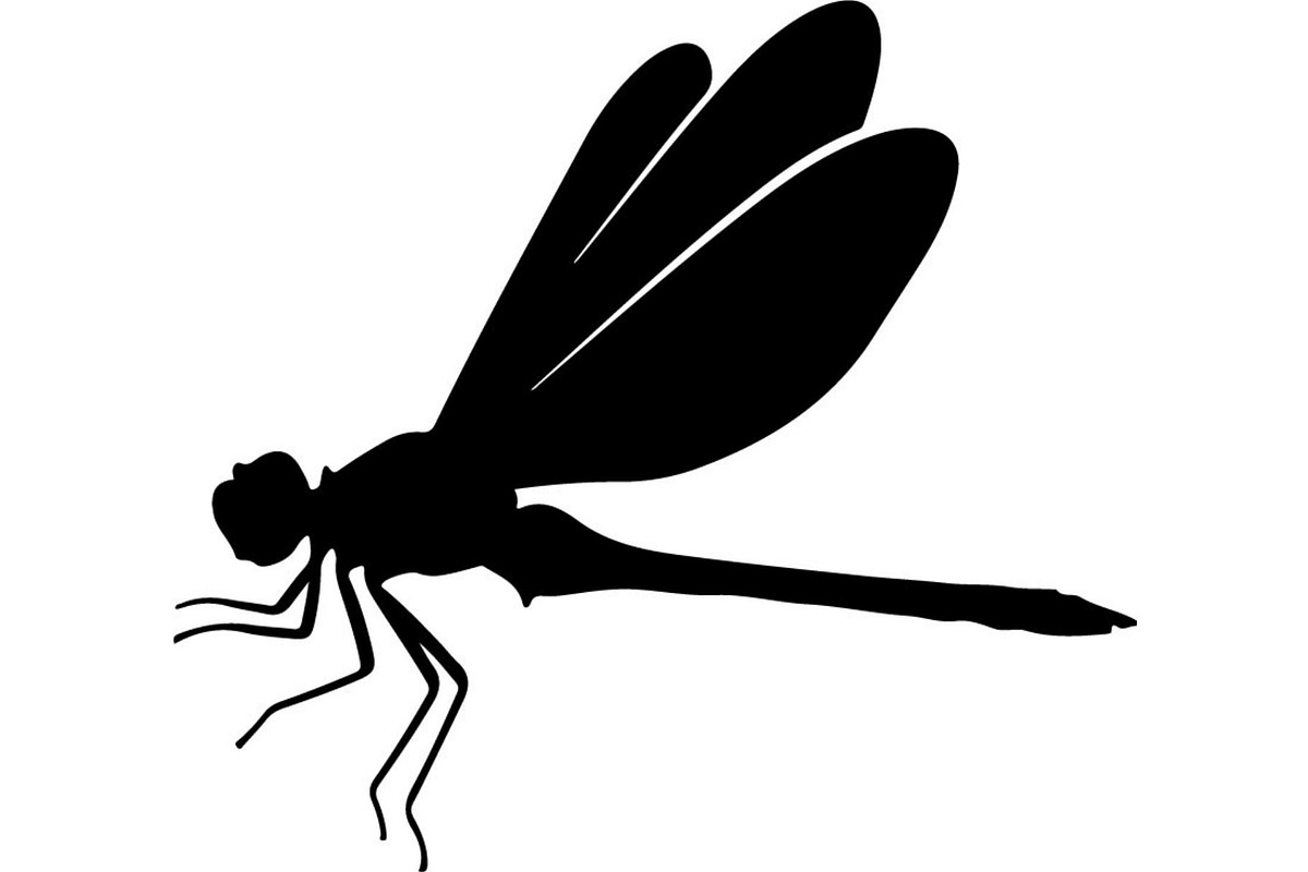 Dragonfly Silhouette, an Object Graphic by Designer_Momina (Photo 13 of 20)