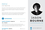 Info-graphic Resume/CV, a Resume Template by UX-group (Thumbnail 4 of 5)