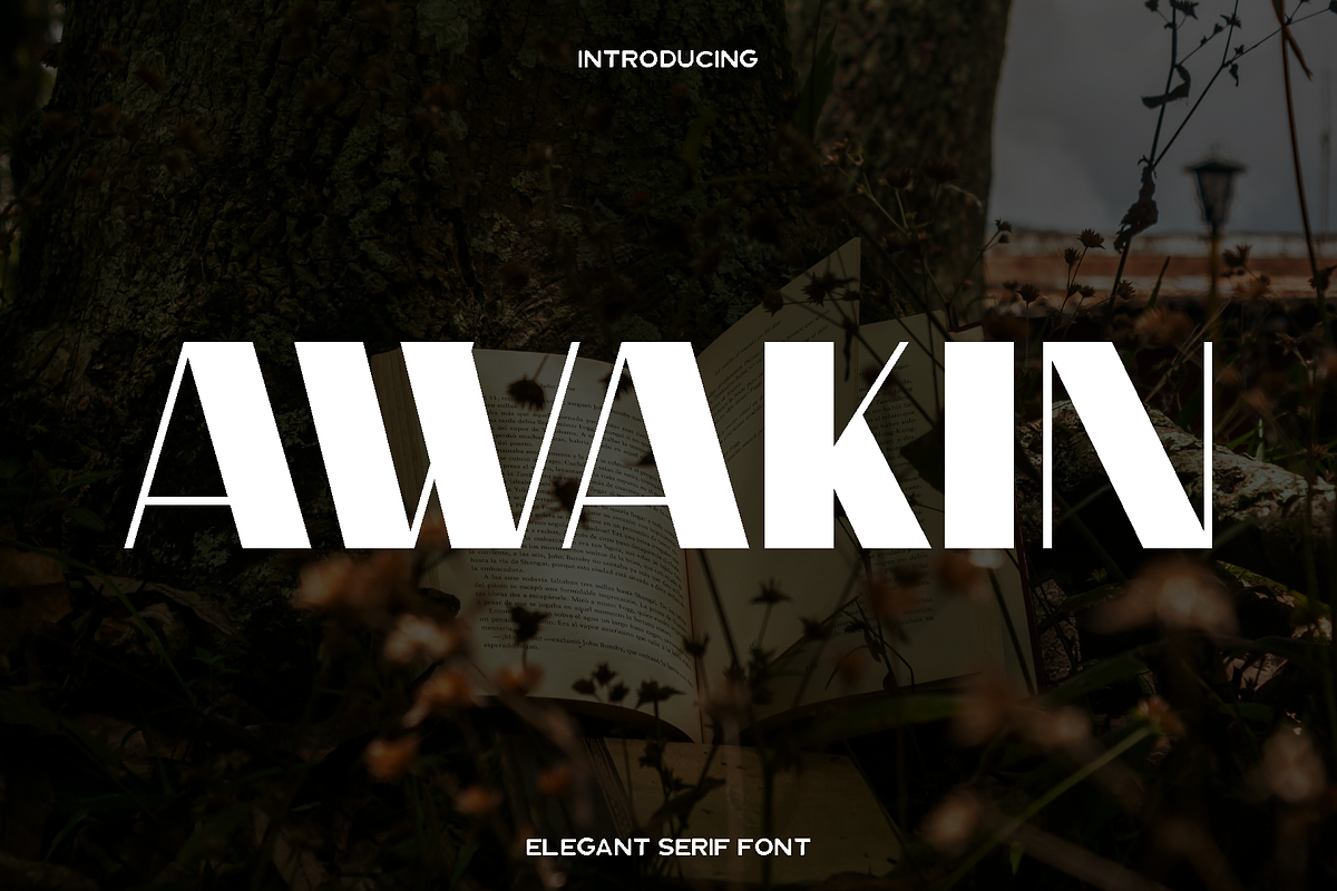 Awakin - Modern Serif, a Serif Font by Luna Shop (Photo 1 of 7)