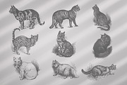 Cats Vector Set, an Illustration by Retro Machine (Thumbnail 2 of 21)