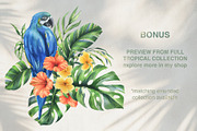 Tropical Leaves Watercolor Set, a Seasonal Illustration by NATASHA CHU (Thumbnail 13 of 13)