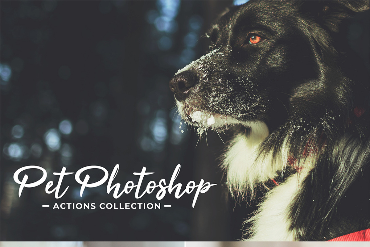 Pet Photoshop Actions Collection, an Action Add-On by Creativetacos (Photo 1 of 7)