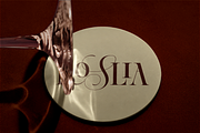 Dh Alista Aghni - 7 Serif Family, a Serif Font by Dharmas Foundry (Thumbnail 12 of 16)