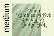 Mollas Typeface, a Serif Font by alit design (Thumbnail 4 of 18)