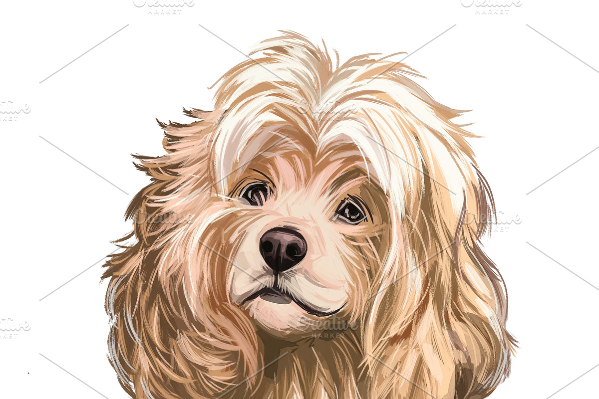 Dogs Cross Breeds 56 Animals Bundle, an Animal Illustration by Dneprstock (Photo 12 of 55)