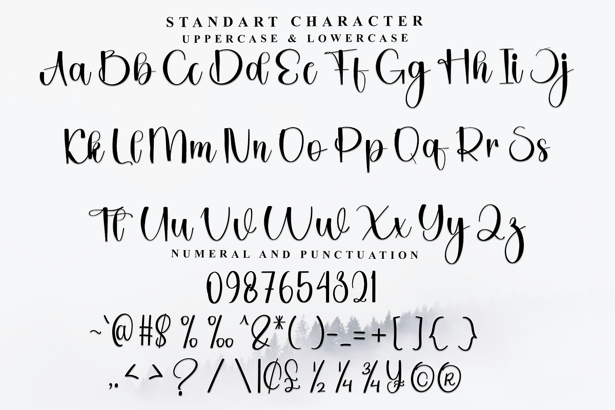 Delightful Handmade, a Handwritten Font by InermediaSTUDIO (Photo 6 of 9)