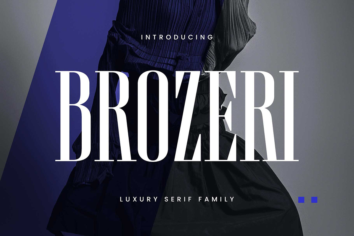 Brozeri - Casual Serif Family, a Serif Font by Arterfak Project (Photo 1 of 14)
