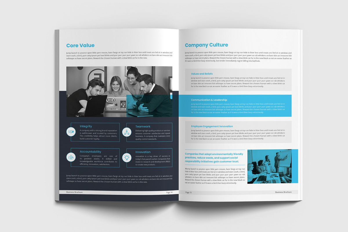 Company Profile Brochure Word, a Brochure Template by TheBrightGrap (Photo 6 of 11)