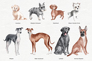 Dogs portrait clipart set, an Animal Illustration by Colibri Watercolor (Thumbnail 2 of 6)
