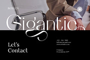 Wagiie – Serif Font with Free Mockup, a Serif Font by Nollev (Thumbnail 4 of 16)