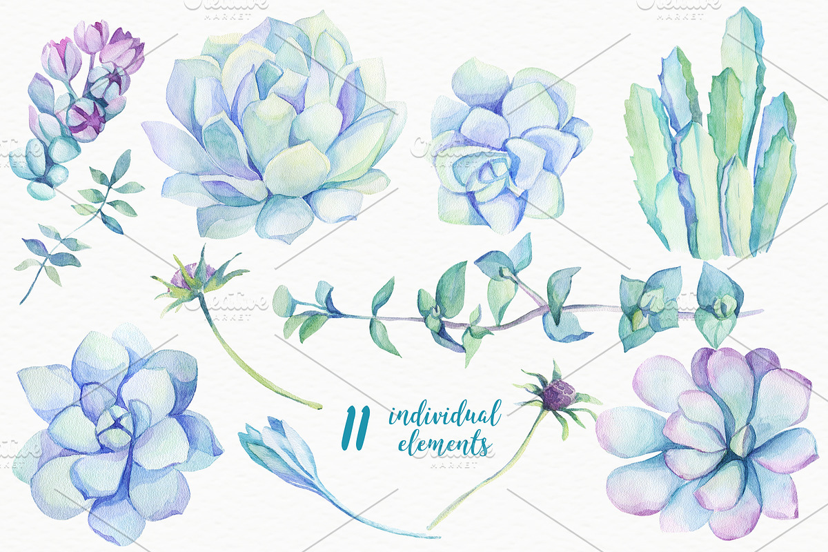SALE! Succulents & Cactuses, an Illustration by Irina Diasli (Photo 4 of 8)