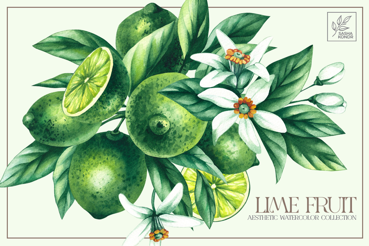 Lime Watercolor Collection, a Food Illustration by SashaKondr (Photo 1 of 15)