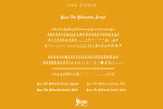 Yuzu The Yellowish Font Duo, a Script Font by LTNG STUDIO (Thumbnail 5 of 13)
