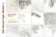 11 Instagram Posts Creator 10-20 day, a Social Media Template by Zimages (Thumbnail 3 of 6)