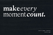The Rosemide Serif, a Serif Font by Skinny Type (Thumbnail 10 of 13)