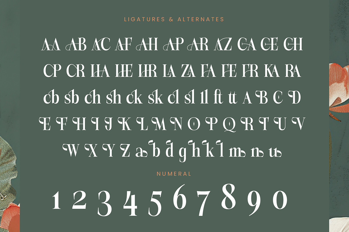 Michela Azorha Display Serif, a Serif Font by timelesstype.co (Photo 19 of 20)