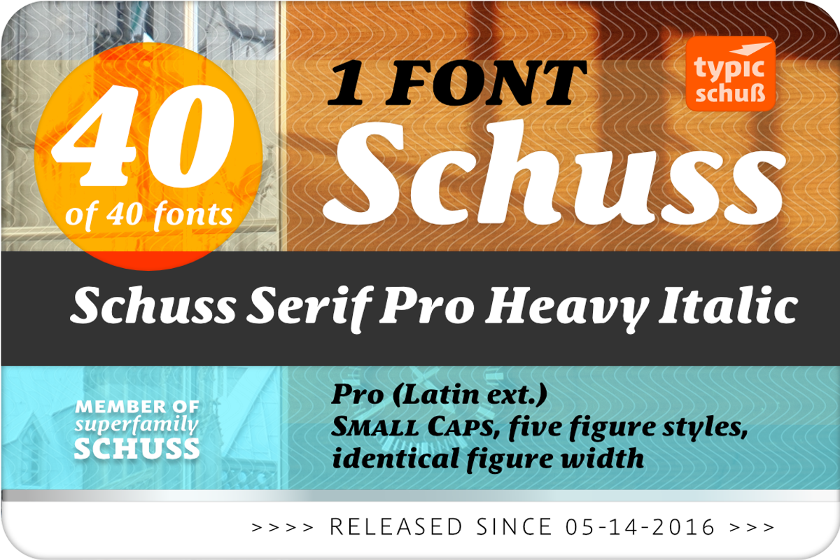 SchussSerifProHeavIta No.40 (1 Font) preview 2
