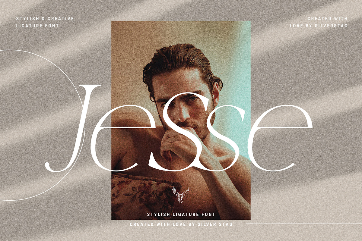 Lucky Feelings - Serif Font Family, a Serif Font by SilverStag Type Foundry (Photo 2 of 12)