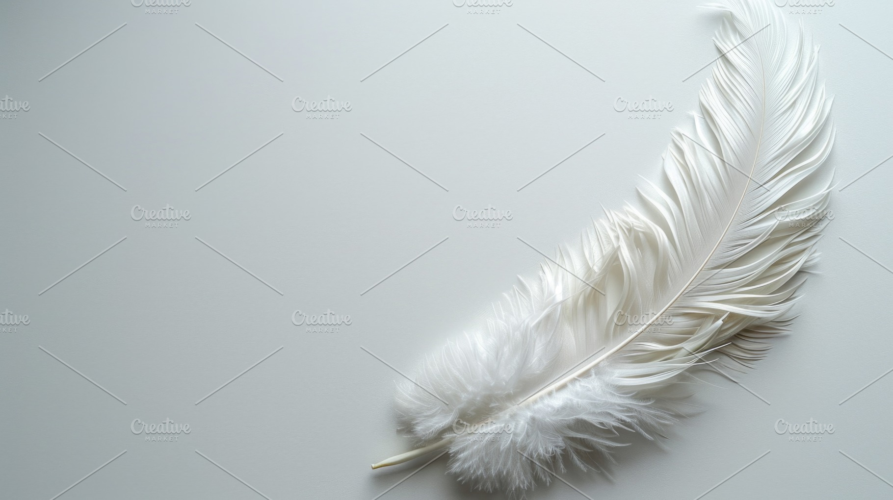 White Feather on Neutral Background Minimal Elegance and Purity, a Beauty & Fashion Photo by José Manuel Gelpi