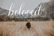 Gaynelle Script, a Script Font by Strong.co (Thumbnail 9 of 10)