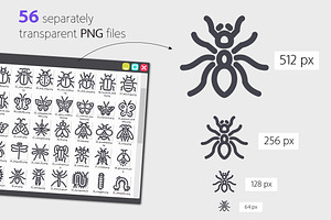 Insect Line Icons Set