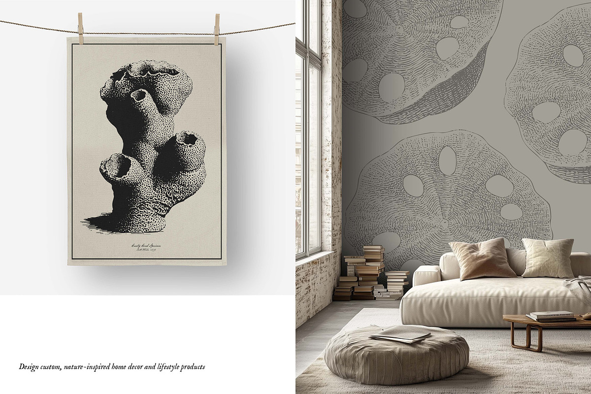 Aquatic Natural History Collection, an Object Graphic by Blixa 6 Studios (Photo 18 of 24)