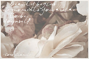 Jenna Jenkins Script, a Script Font by BlueRobinDesignShop (Thumbnail 3 of 8)