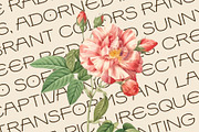 Thanom Rounded, a Sans Serif Font by Craft Supply Co. (Thumbnail 7 of 8)