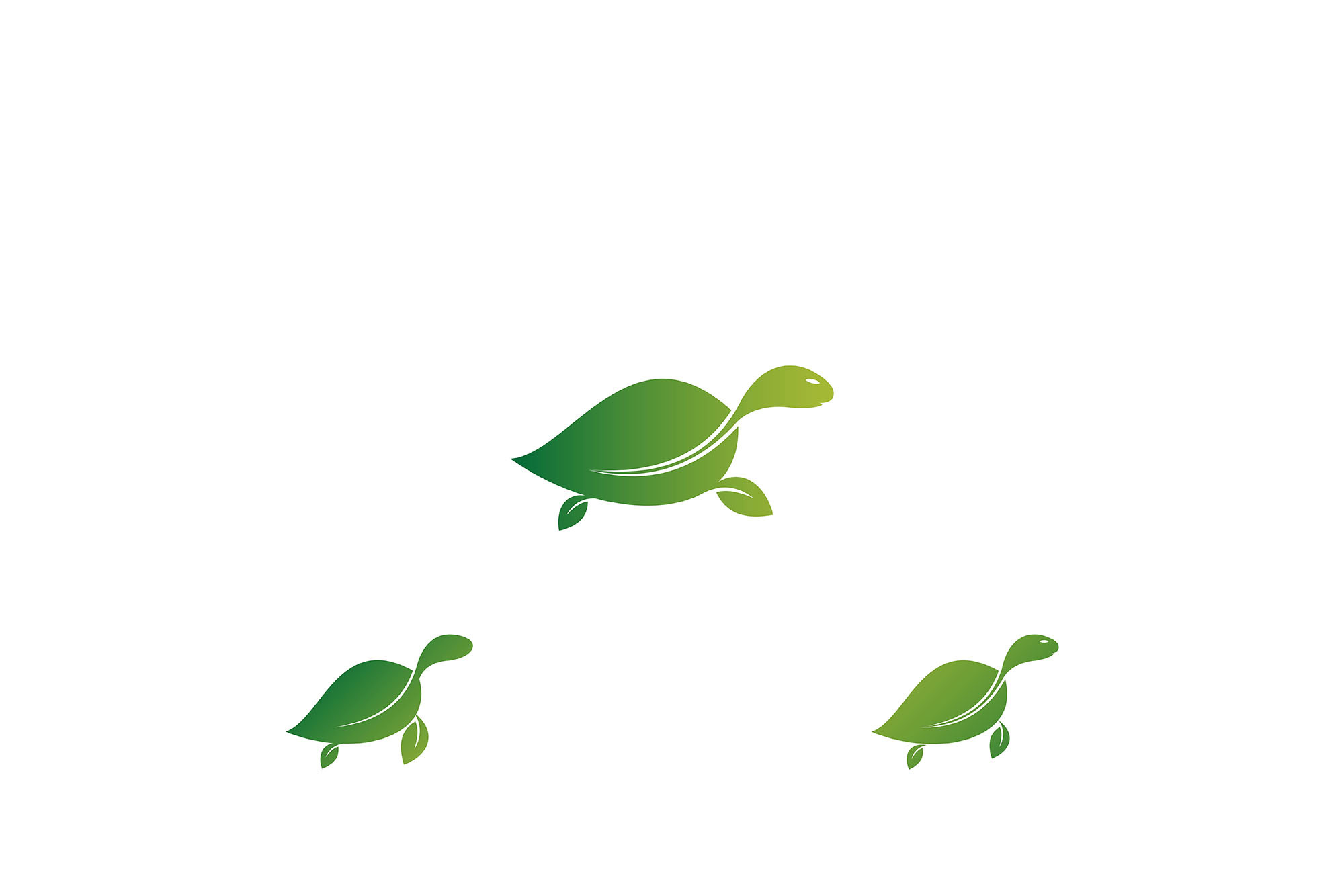 Tortoise Logo Design Template, a Branding & Logo Template by mrshamsjaman