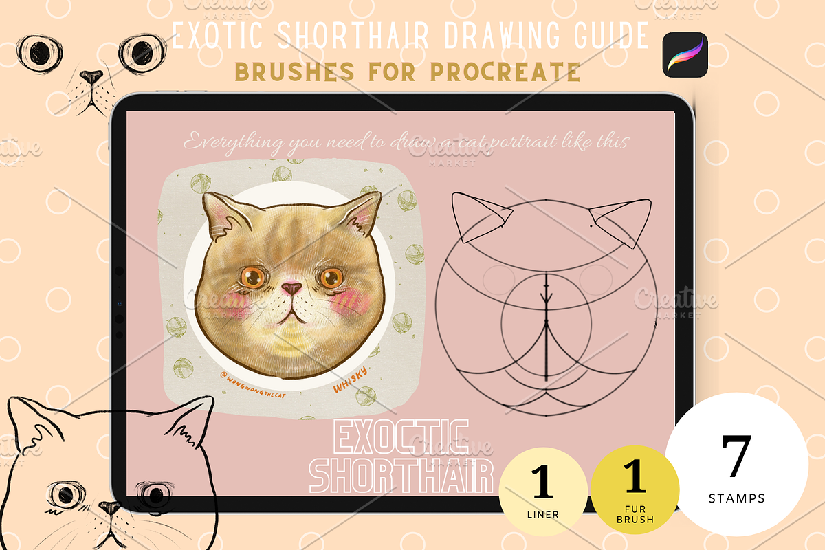 Exotic Shorthair Drawing Guide, a Brush Add-On by Artbykimmyw (Photo 1 of 4)