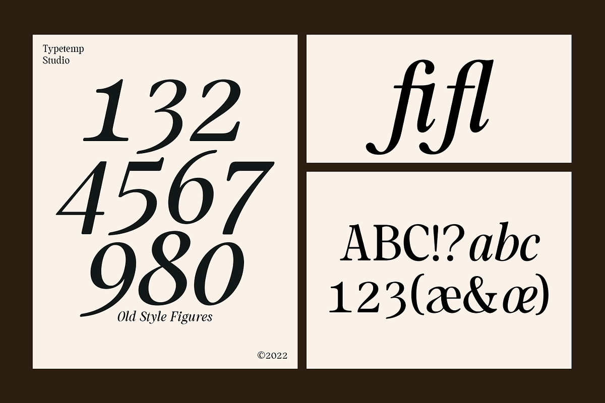 Mountriel - Classic Modern Serif, a Serif Font by Typetemp Studio (Photo 4 of 22)