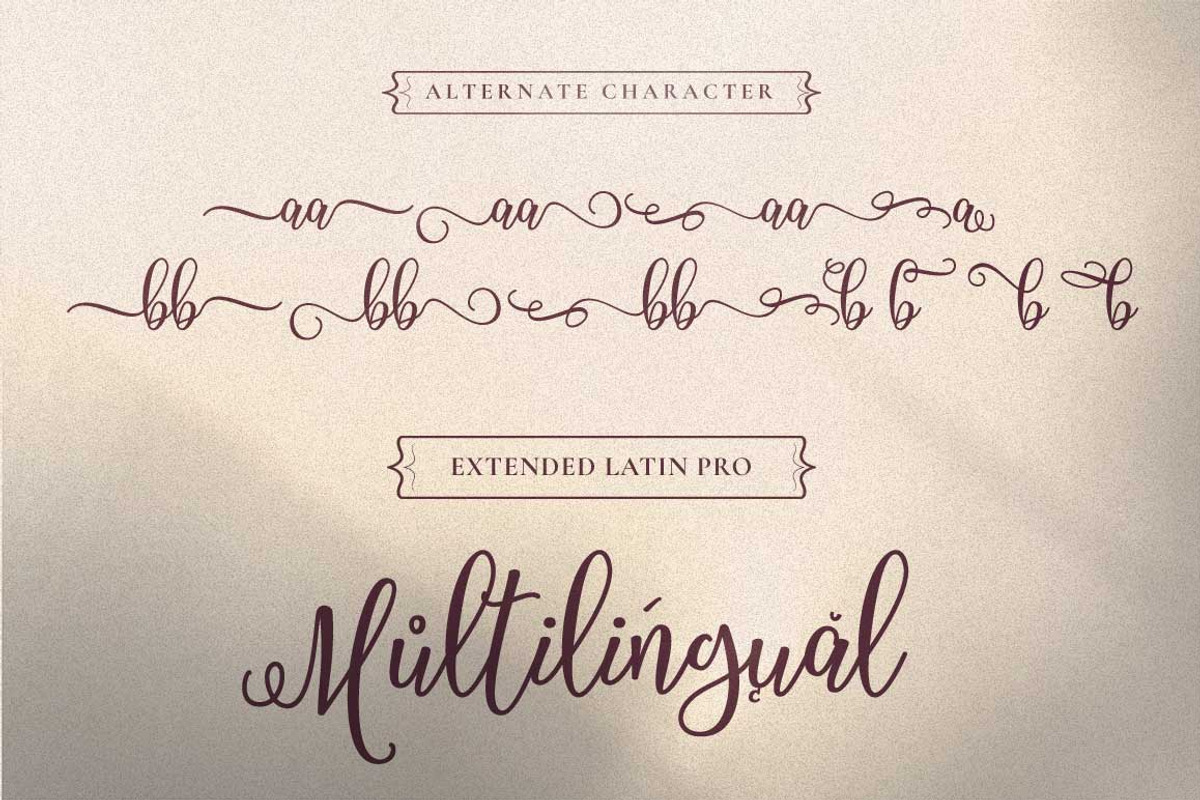Filladelphia - Beautiful Script, a Script Font by Dirtytemp Studio (Photo 10 of 10)