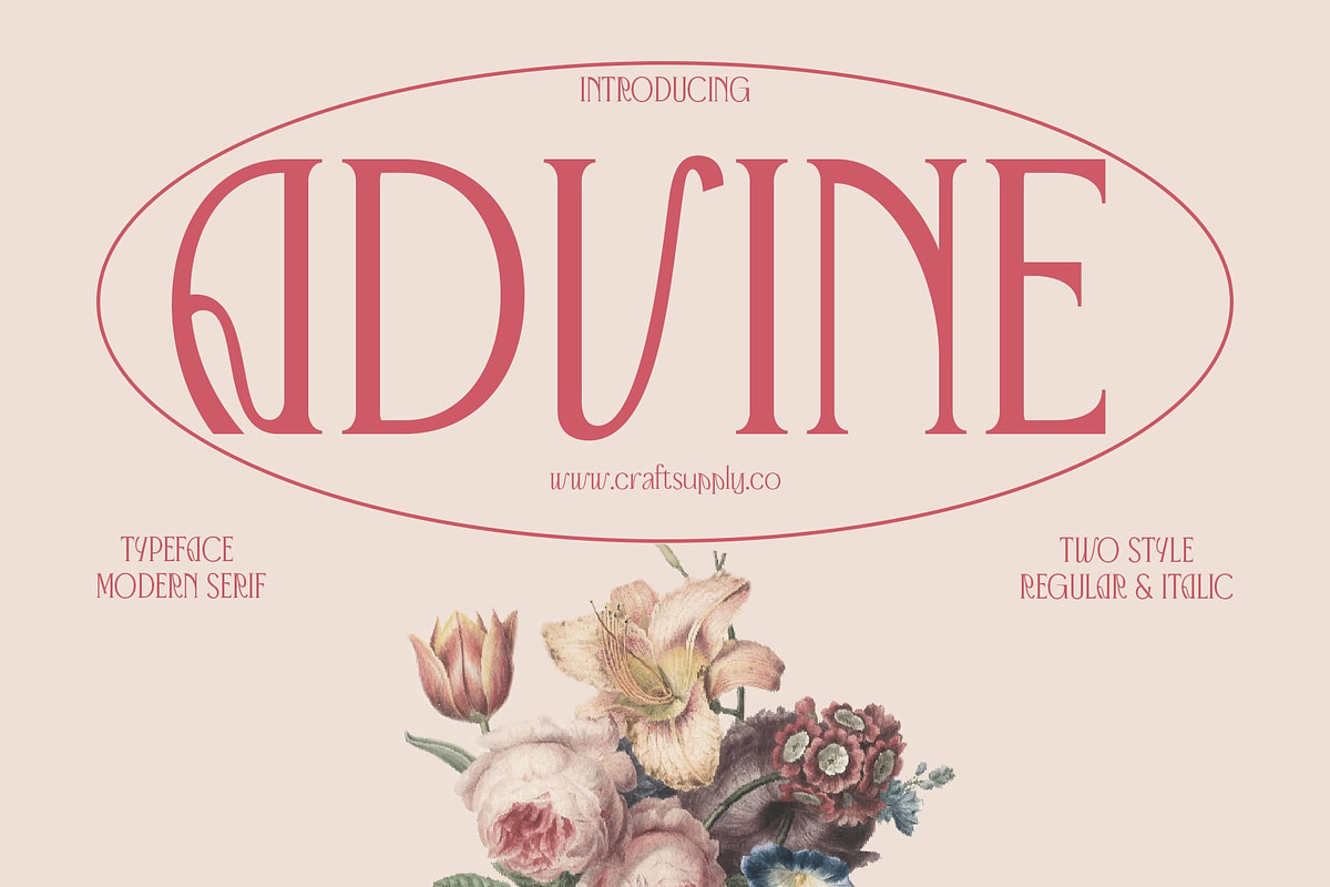 Advine, a Serif Font by Craft Supply Co. (Photo 1 of 8)