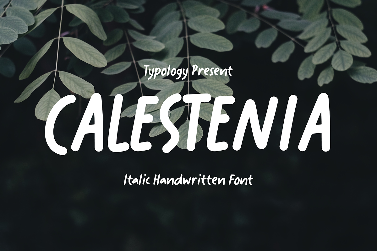 Calestenia Font, a Handwritten Font by Typology (Photo 1 of 6)