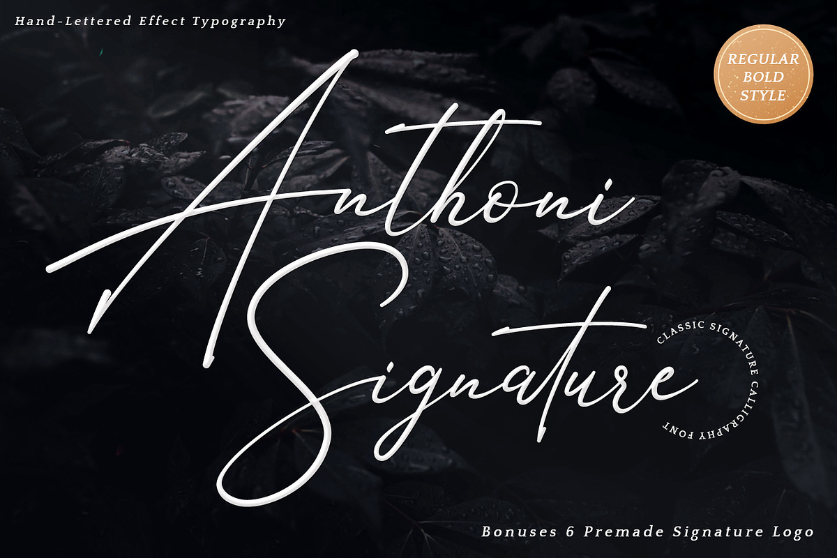 Anthoni Signature Script Font